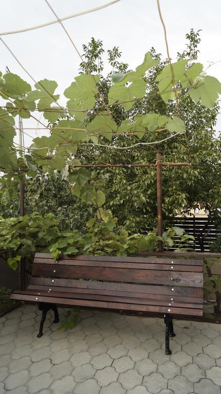 Nino'S Guest House 第比利斯 客房 照片