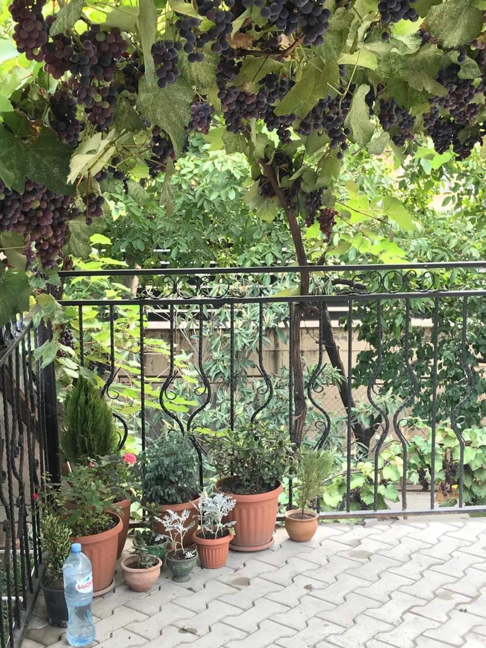 Nino'S Guest House 第比利斯 外观 照片